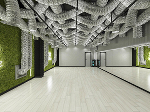 Green hall 80 m2